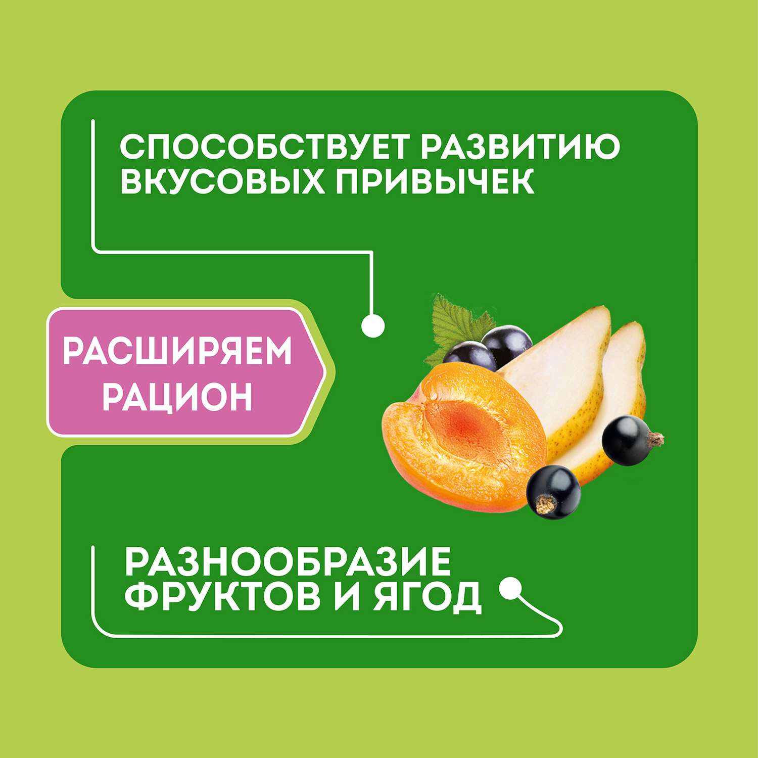 Каша Heinz Лакомая гречневая груша-абрикос-смородина 170г с 5месяцев - фото 3