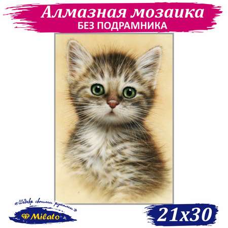 Алмазная мозаика Милато NR-125 Котёнок