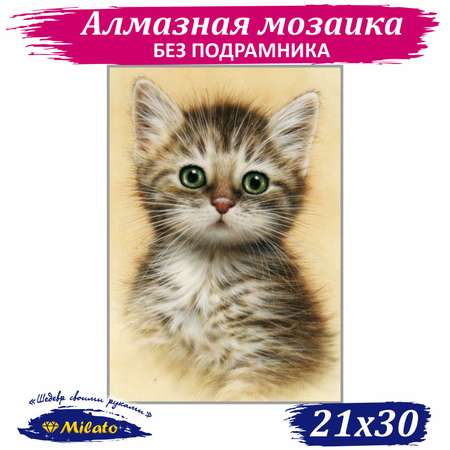 Алмазная мозаика Милато Котёнок