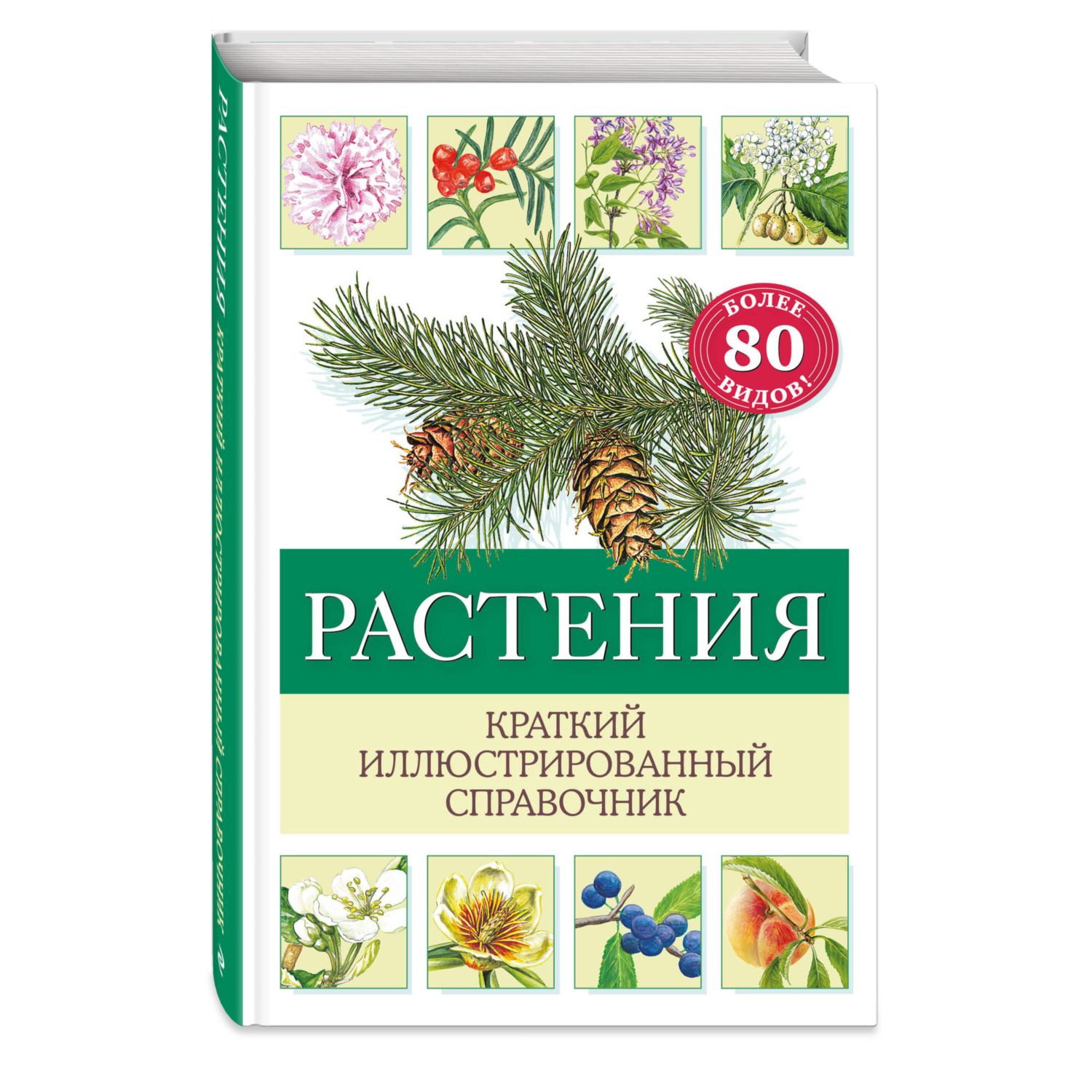 Книга Эксмо Растения. Краткий иллюстрированный справочник - фото 1