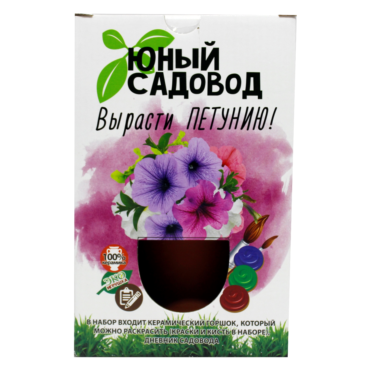 Набор ВИСМА Для выращивания Юный садовод петуния - фото 1