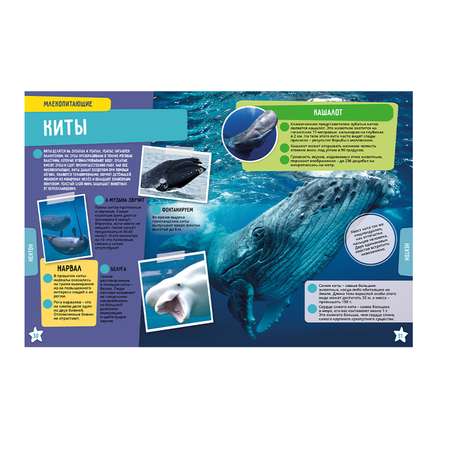 Энциклопедия KidZlab в дополненной реальности Океан 250 невероятных фактов