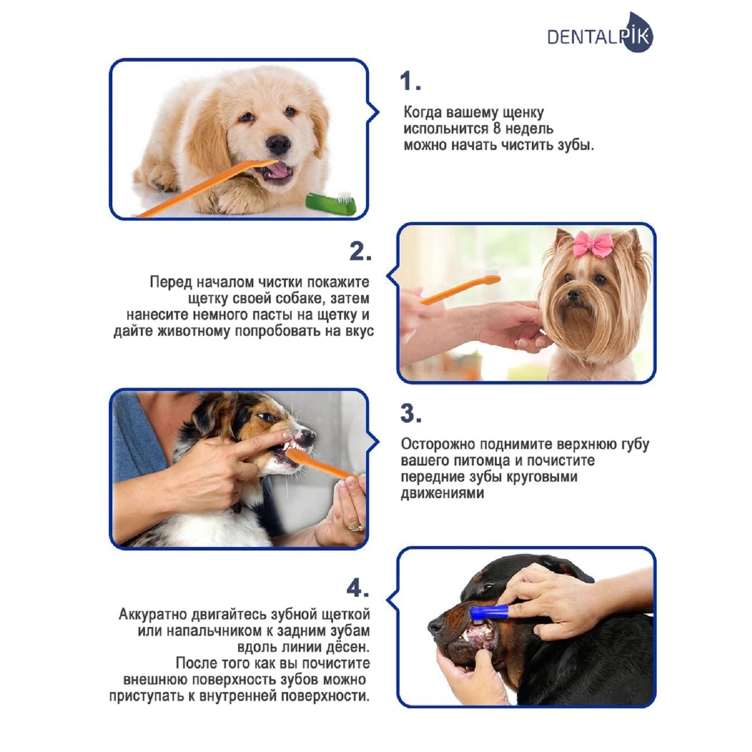 Зубная паста Dentalpik Pets для собак вкус говядина 75 г - фото 3