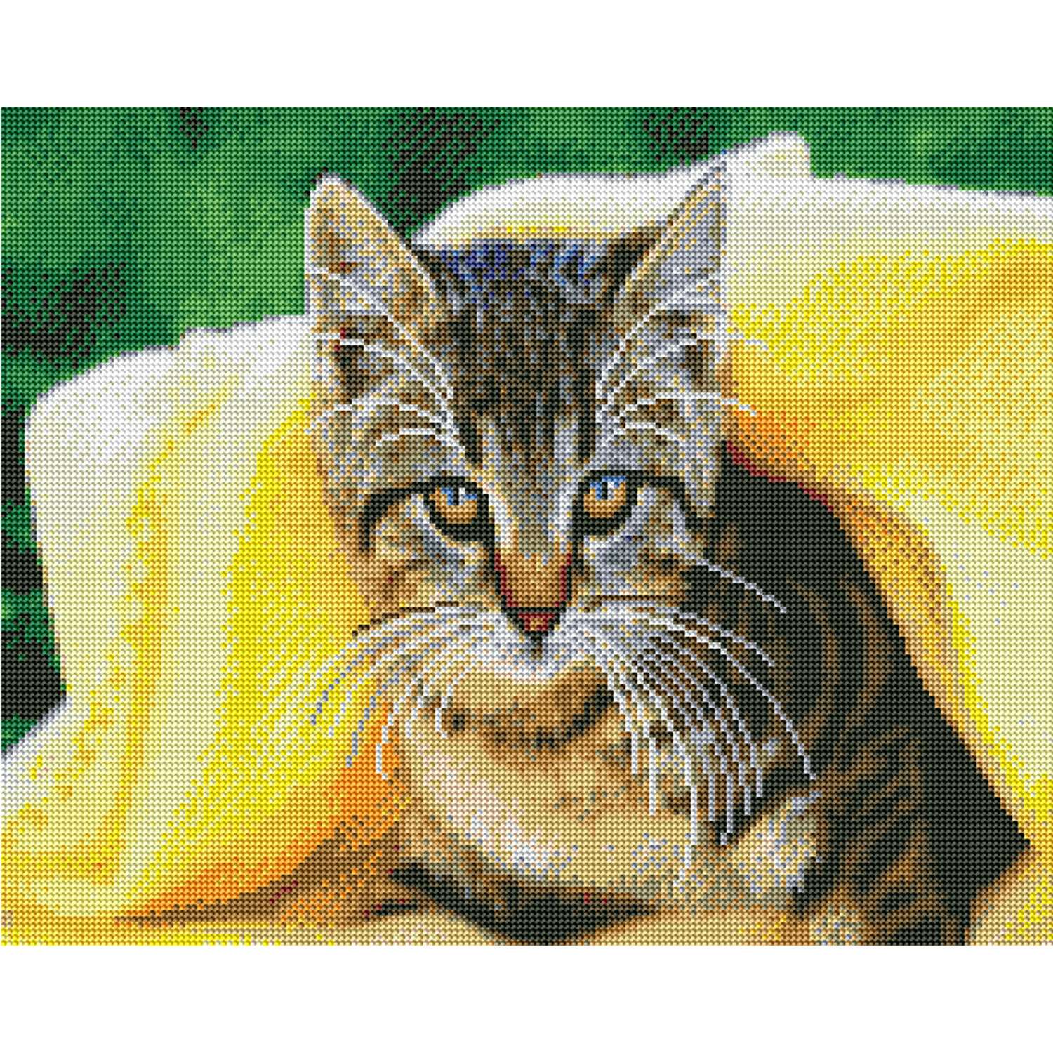 Алмазная мозаика Рыжий кот Котик под пледом 40х50 - фото 1