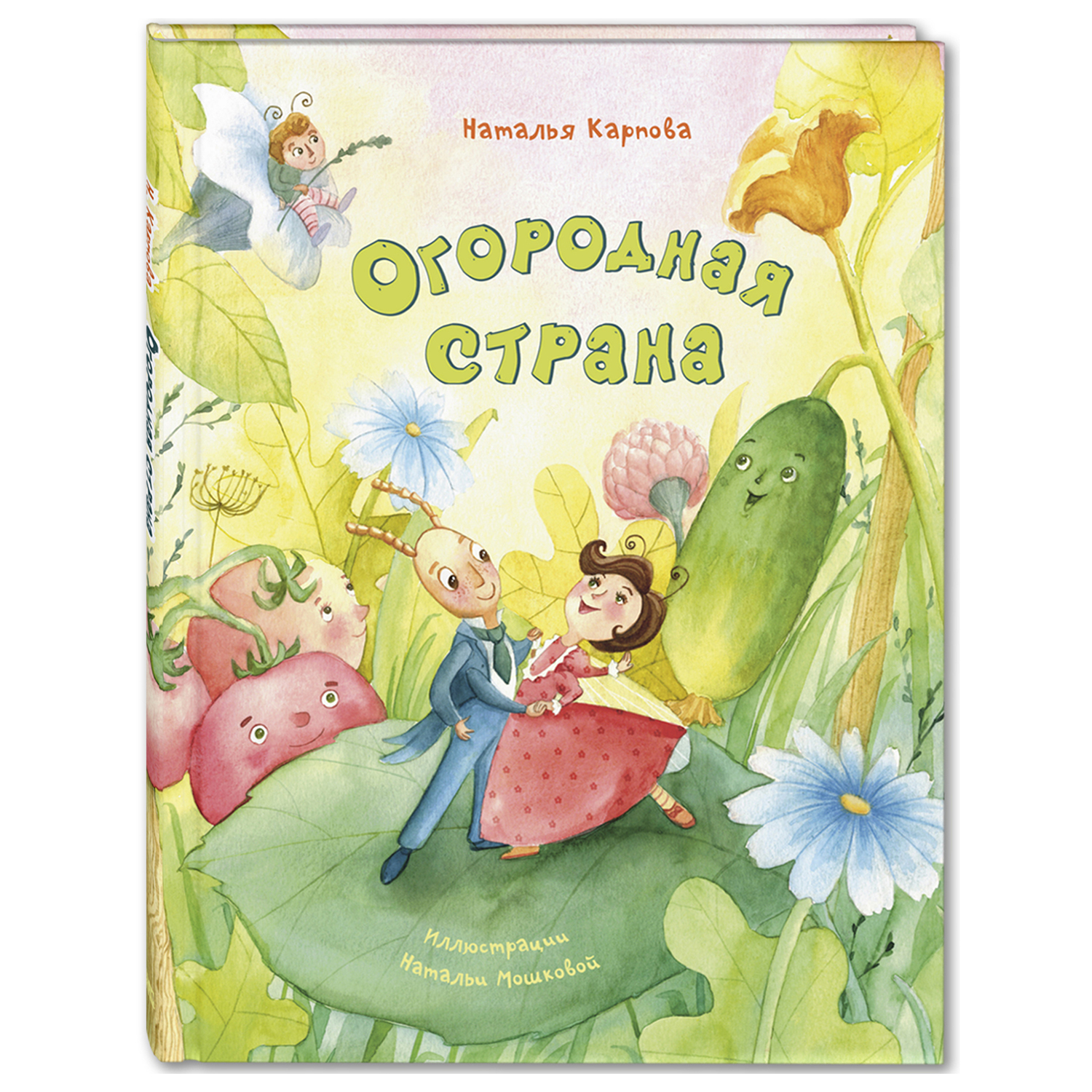 Книга Издательство Энас-книга Огородная страна - фото 1