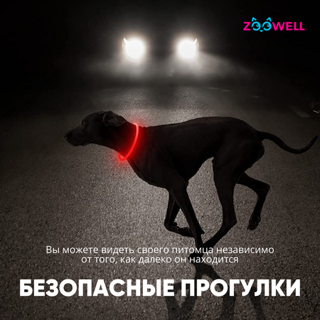 Ошейник для собак ZDK ZooWell Walk с подсветкой, красный, 40 см