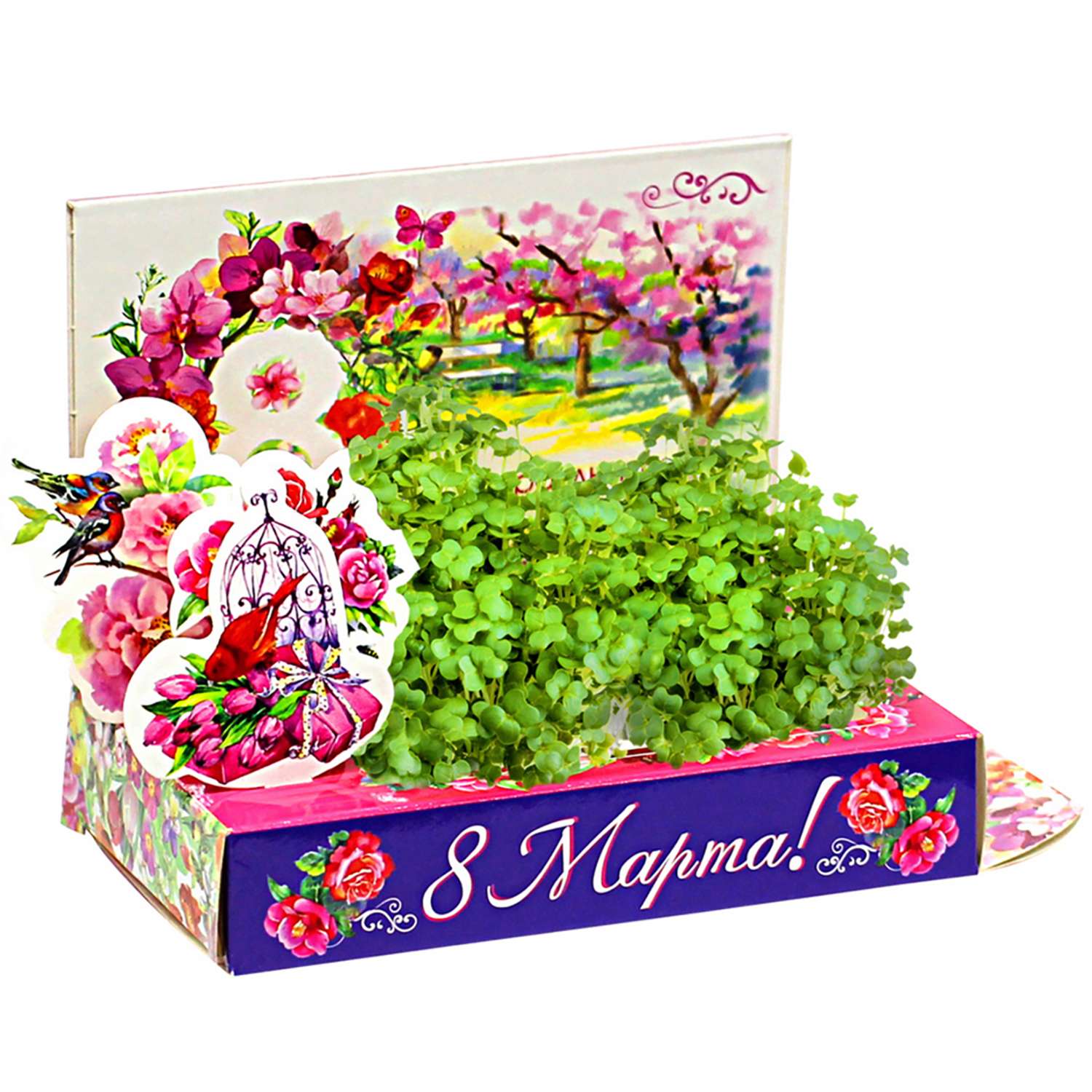 Набор для выращивания Happy Plant Вырасти сам микрозелень Живая открытка Букет тюльпанов - фото 1