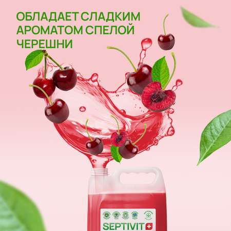 Жидкое мыло SEPTIVIT Premium Спелая черешня