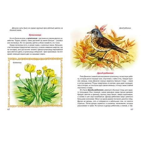 Книга Алтей Мои первые тропинки