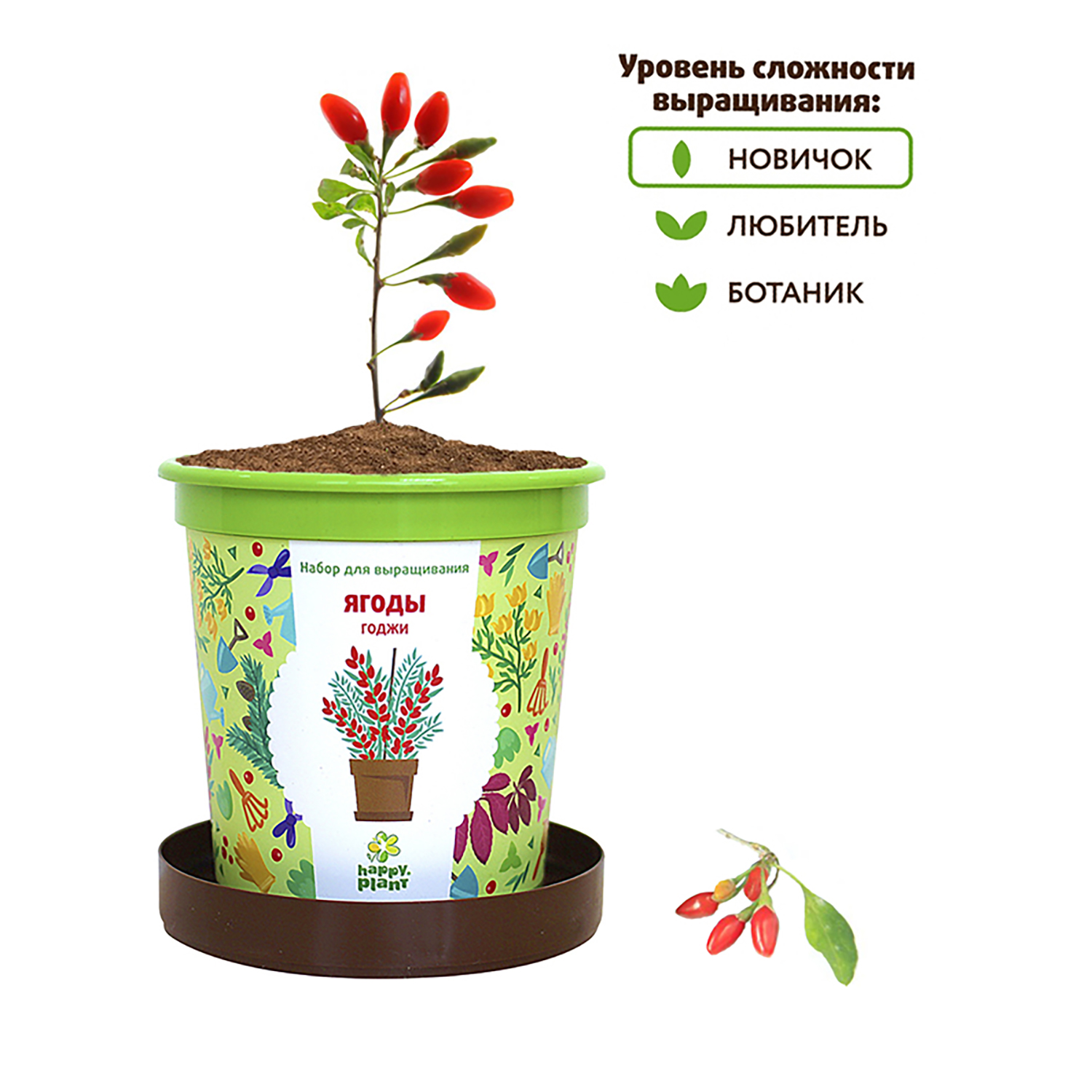 Набор для выращивания Happy Plant Вырасти сам растение в горшочке Ягоды  Годжи купить по цене 335 ₽ в интернет-магазине Детский мир