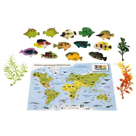 Игровой набор S+S Океанариум с картой обитания внутри 12 шт Zooграфия