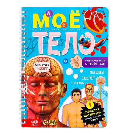 Книга Буква-ленд с прозрачными страницами «Моё тело» 32 страницы