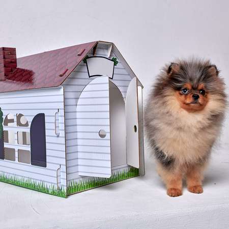 Домик MASKBRO улучшенный картонный для кошек и собак с когтеточкой и мятой матовый