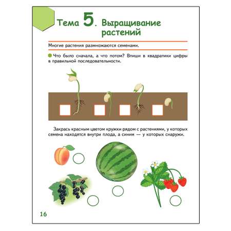 Развивающая тетрадь Русское Слово Знакомлюсь с растениями для детей 6-7 лет