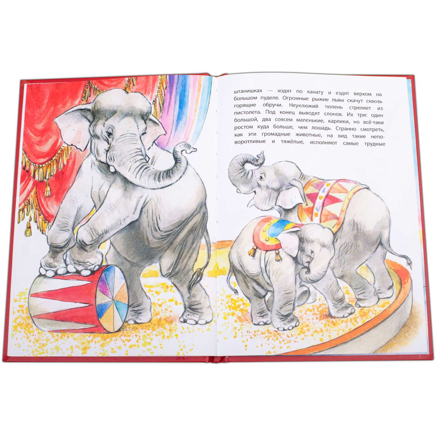 Сколько слонов в мире. Боба и слон книга. Куприн слон читательский дневник. Слон Куприн 2013 год. Книга не наступите на слона.