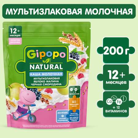 Каша Gipopo молочная мультизлаковая яблоко-малина-черная смородина 200г с 12 месяцев