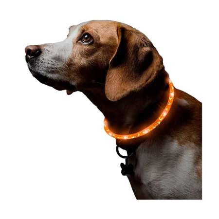 Ошейник для собак ZDK ZooWell со светодиодами оранжевый 40 см