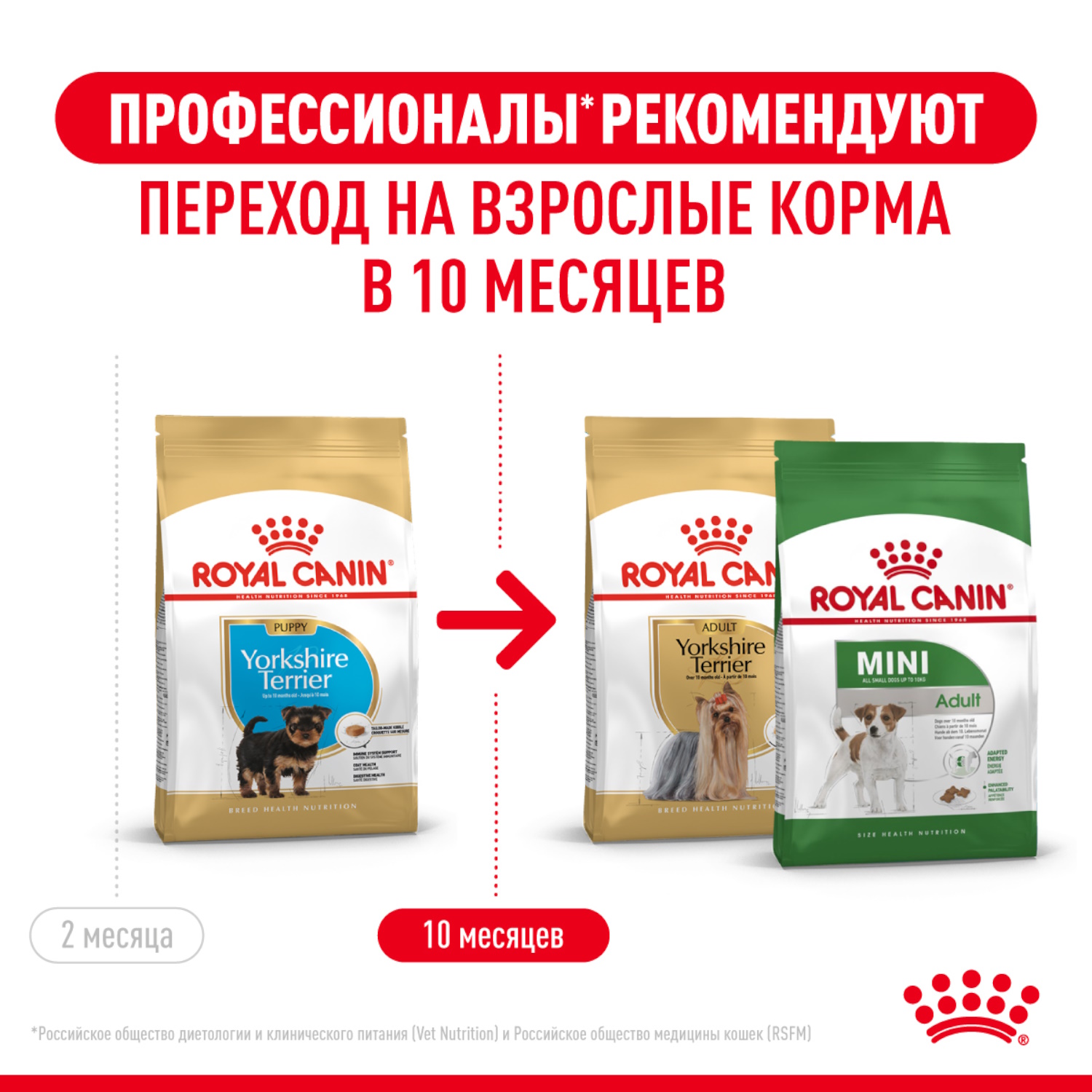 Сухой корм для собак ROYAL CANIN Puppy 0.5 кг (полнорационный) - фото 5