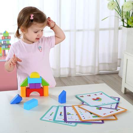 Игровой набор Tooky Toy Кубики с карточками TL386