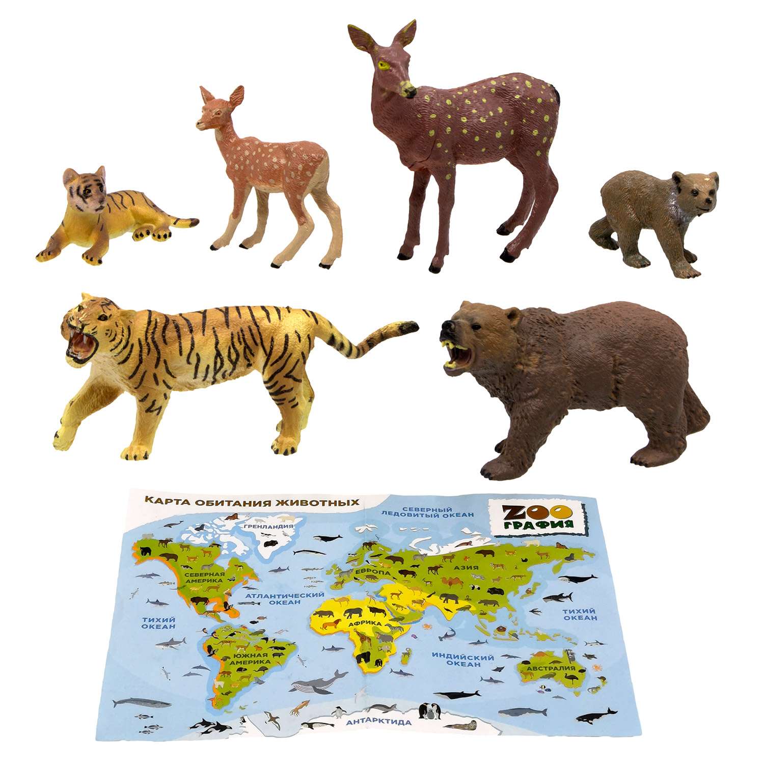 Игровой набор S+S Животные с картой обитания внутри 6 шт Zooграфия - фото 1