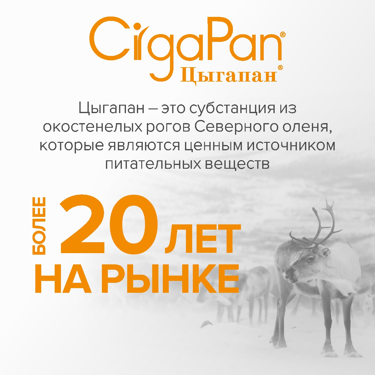 Цыгапан витамины CigaPan Цыгапан 90 капсул 400 мг - фото 9