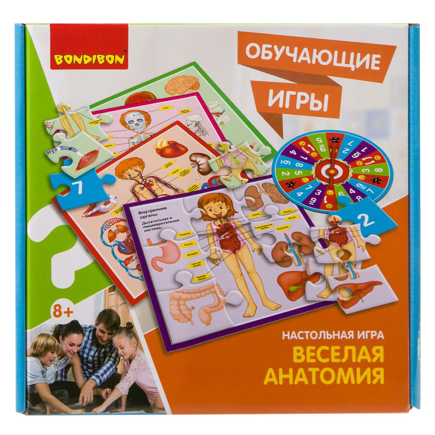 Игра обучающая Bondibon Веселая анатомия ВВ3792 - фото 6