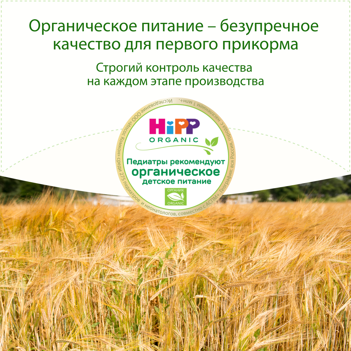 Каша молочная Hipp пшеница-фрукты-йогурт 250г с 6месяцев - фото 3