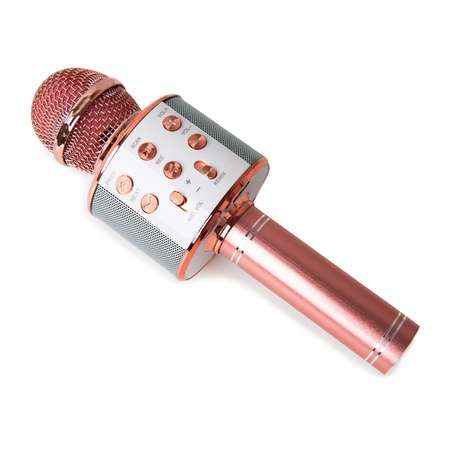 Микрофон-караоке Fengchengjia toys YS0213716