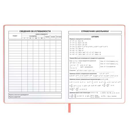 Дневник школьный ФЕНИКС+ 1-11 класс кожзам А5+ 48 листов мягкий переплёт ляссе запаянный край