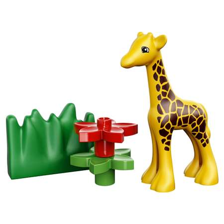Конструктор LEGO DUPLO Town Зоопарк для малышей (4962)