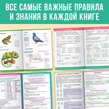 Набор для начальной школы Буква-ленд «Сборники шпаргалок» 4 книги, 7+