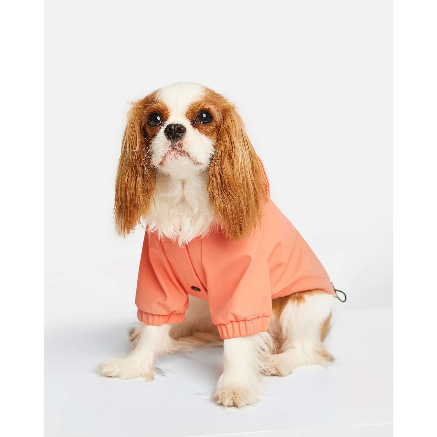 Дождевик-куртка для собак Zoozavr розовый 35 - фото 1