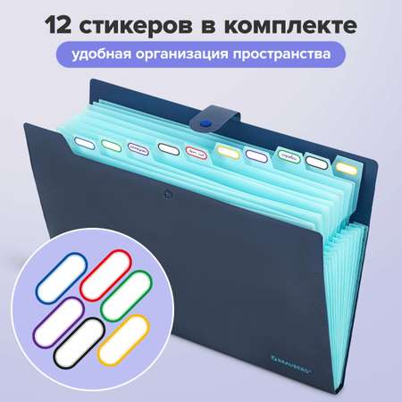Папка-органайзер Brauberg А4