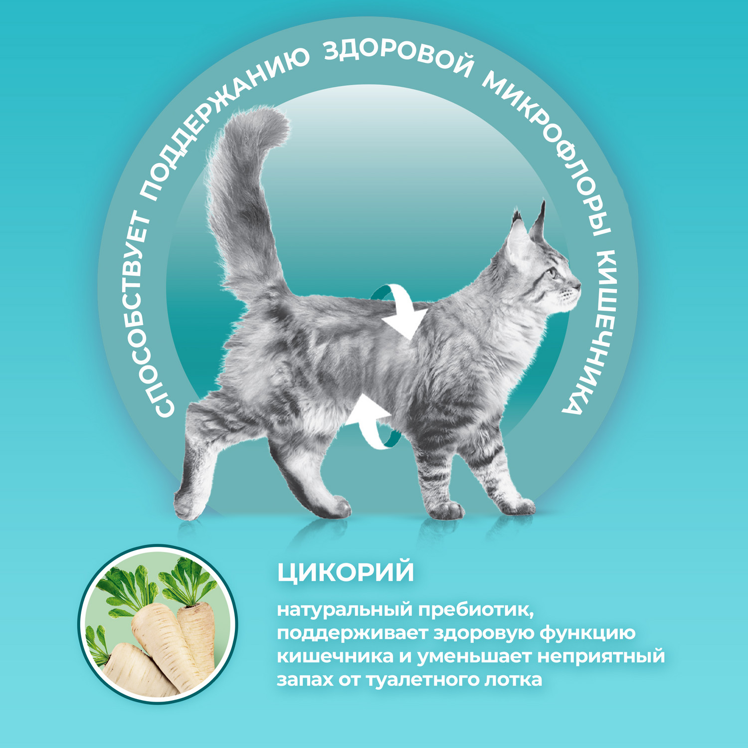 Влажный корм для кошек Purina One Sterilised 0.075 кг говядина (для стерилизованных и кастрированных, полнорационный) - фото 2