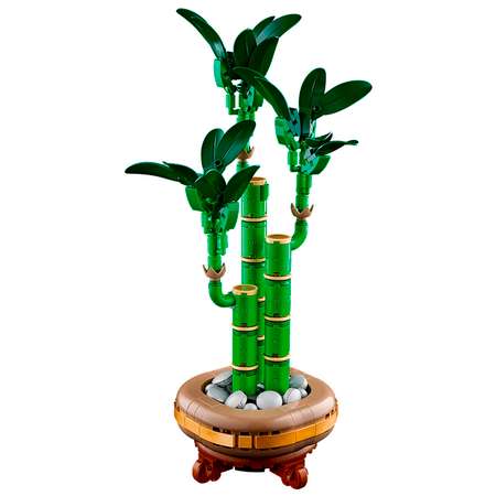 Конструктор детский LEGO Botanical Collection Счастливый Бамбук