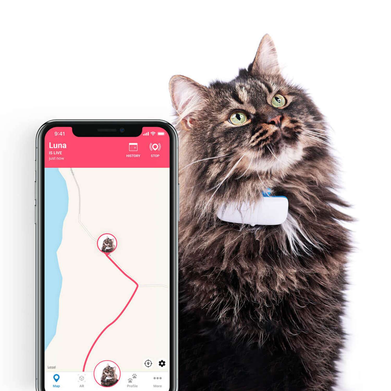 GPS-трекер для кошек Tractive IKATI - фото 6