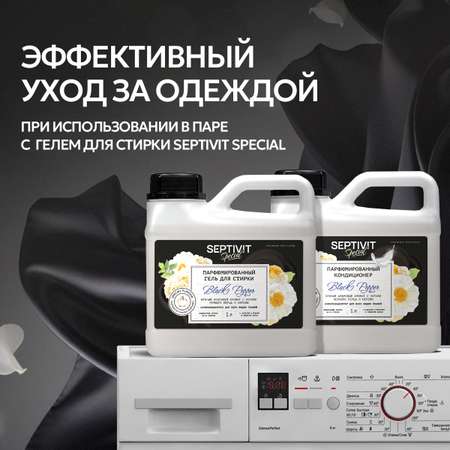 Кондиционер для белья SEPTIVIT Premium Black Pepper 1л