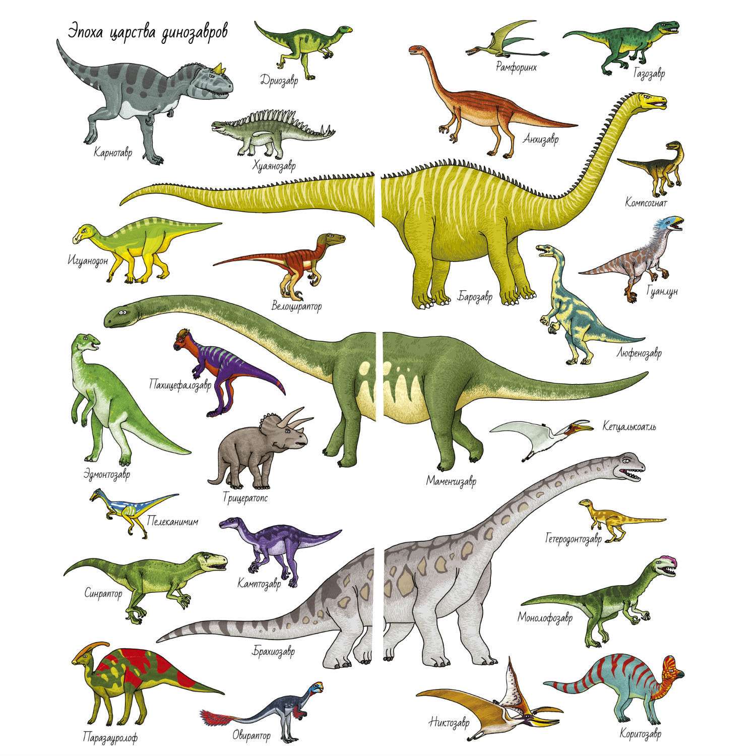 Книга Clever Динозавры. найди и покажи 169 - фото 4
