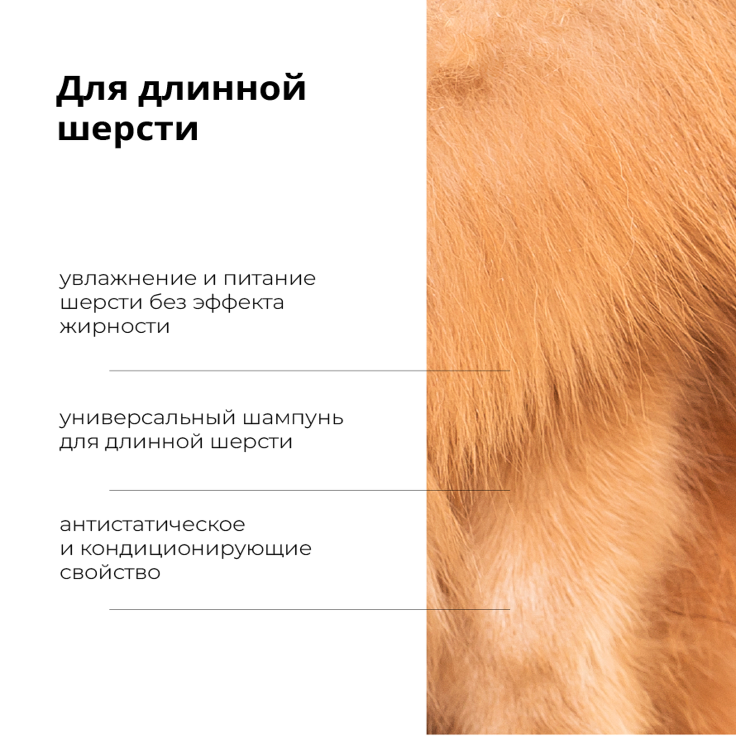 Шампунь Lanna ProAnimal для длинной шерсти профессиональный увлажняющий для собак - фото 3