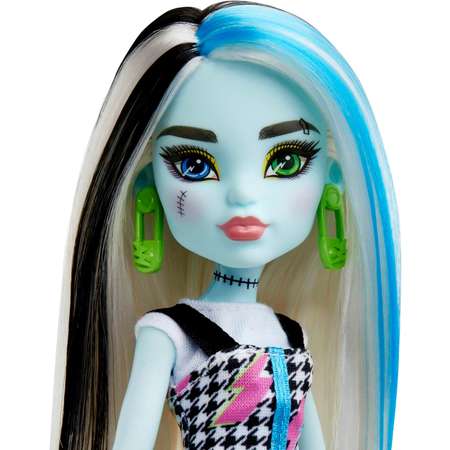 Кукла модельная Monster High Monsteristas Frankie HRC12/HKY76