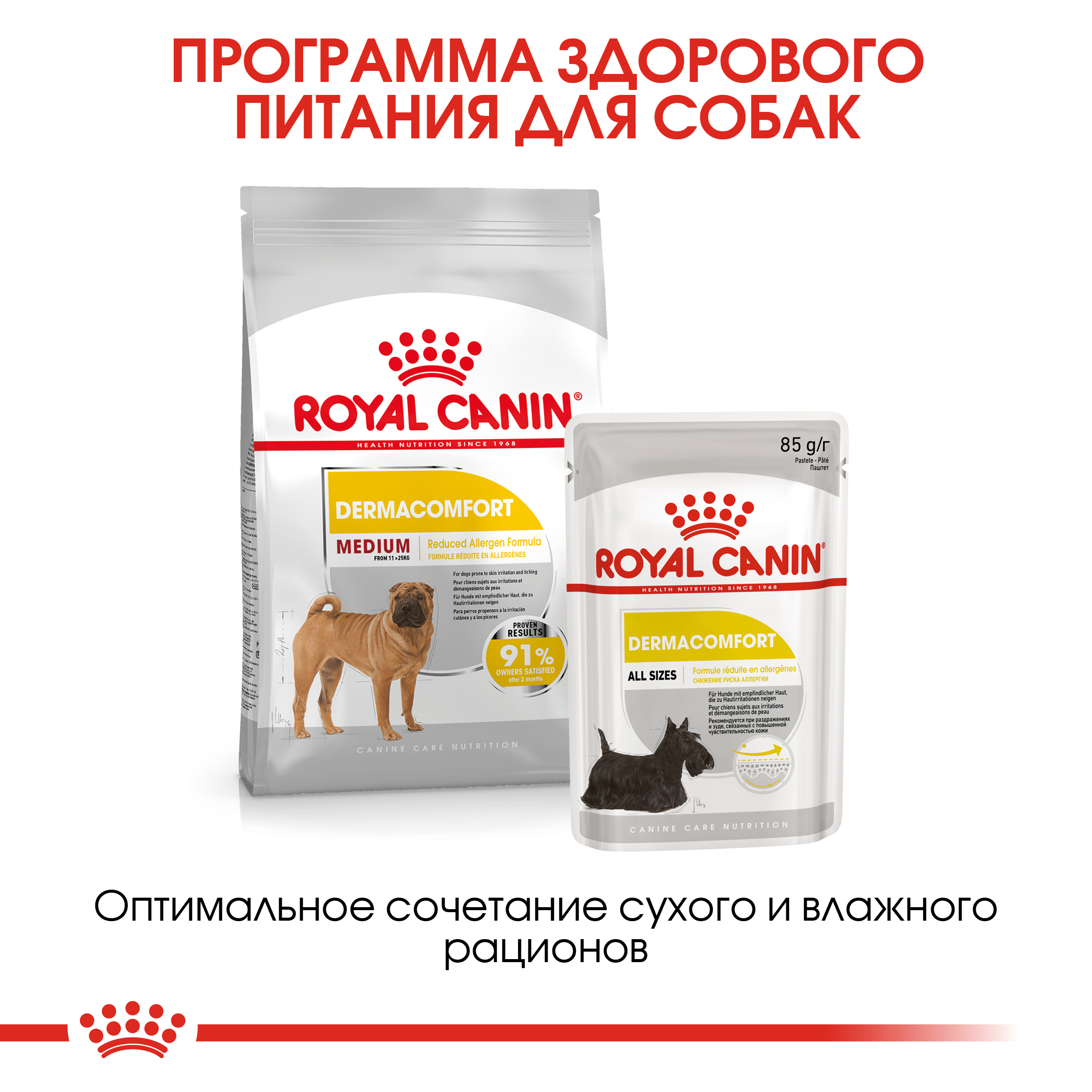 Корм для собак ROYAL CANIN Medium Dermacomfort средних пород склонных к  кожным раздражениям и зуду 10кг купить по цене 7063 ₽ с доставкой в Москве  и России, отзывы, фото