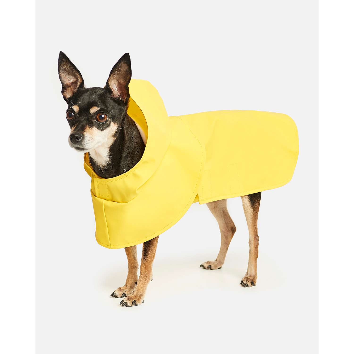 Дождевик для собак Zoozavr жёлтый 25 - фото 6