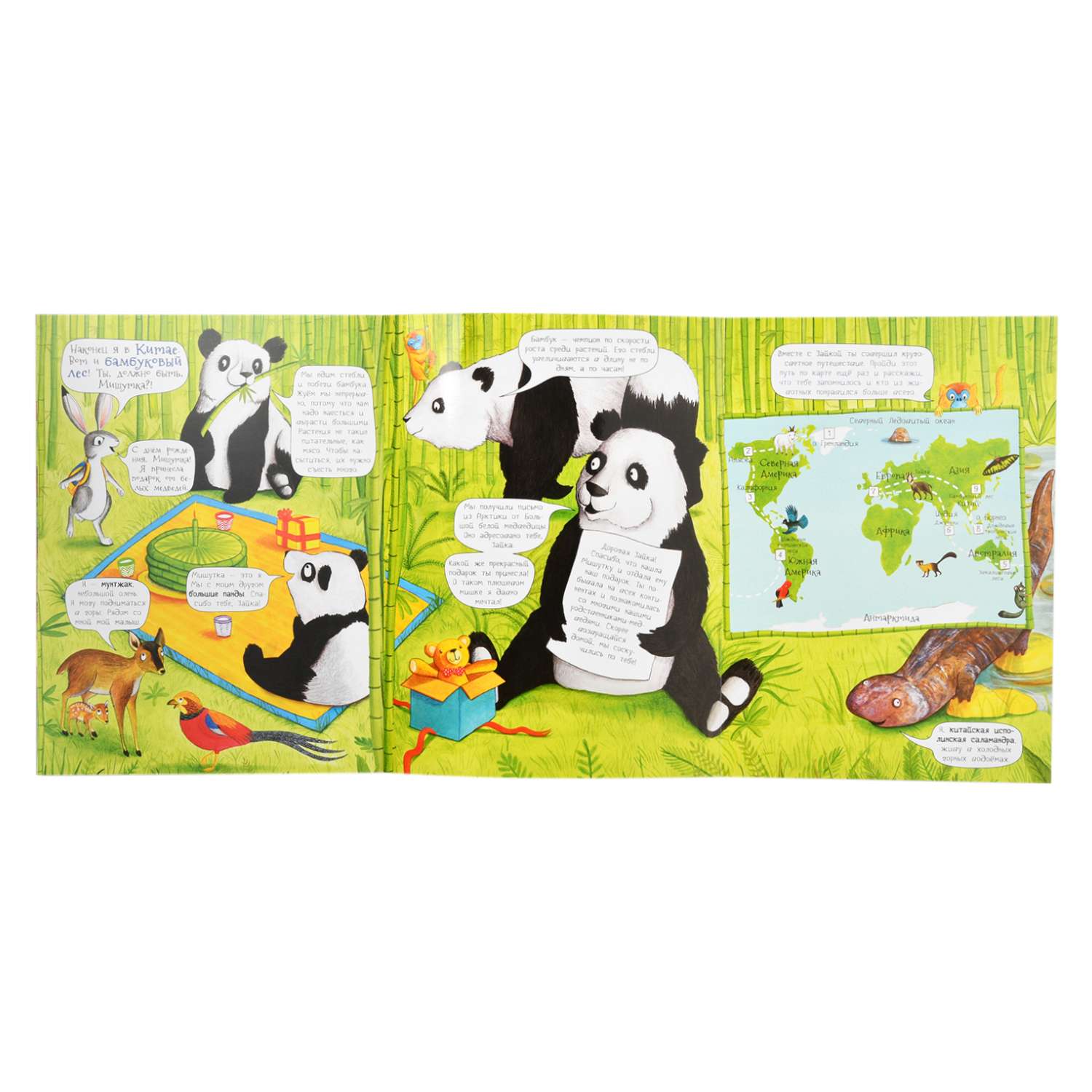 Книга Росмэн На поиски панды. Удивительное путешествие по лесу - фото 5