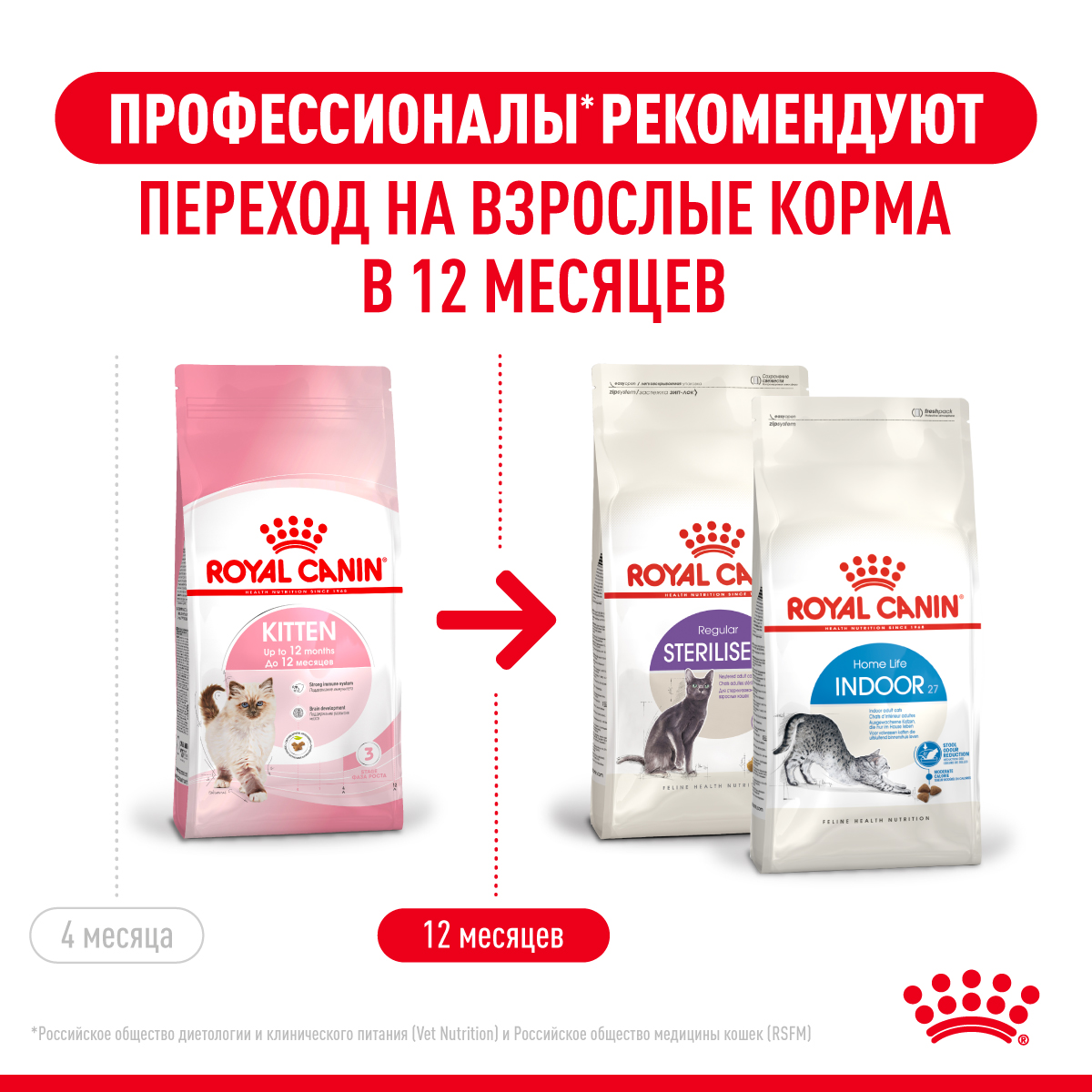 Корм сухой для котят ROYAL CANIN Kitten 4кг - фото 10