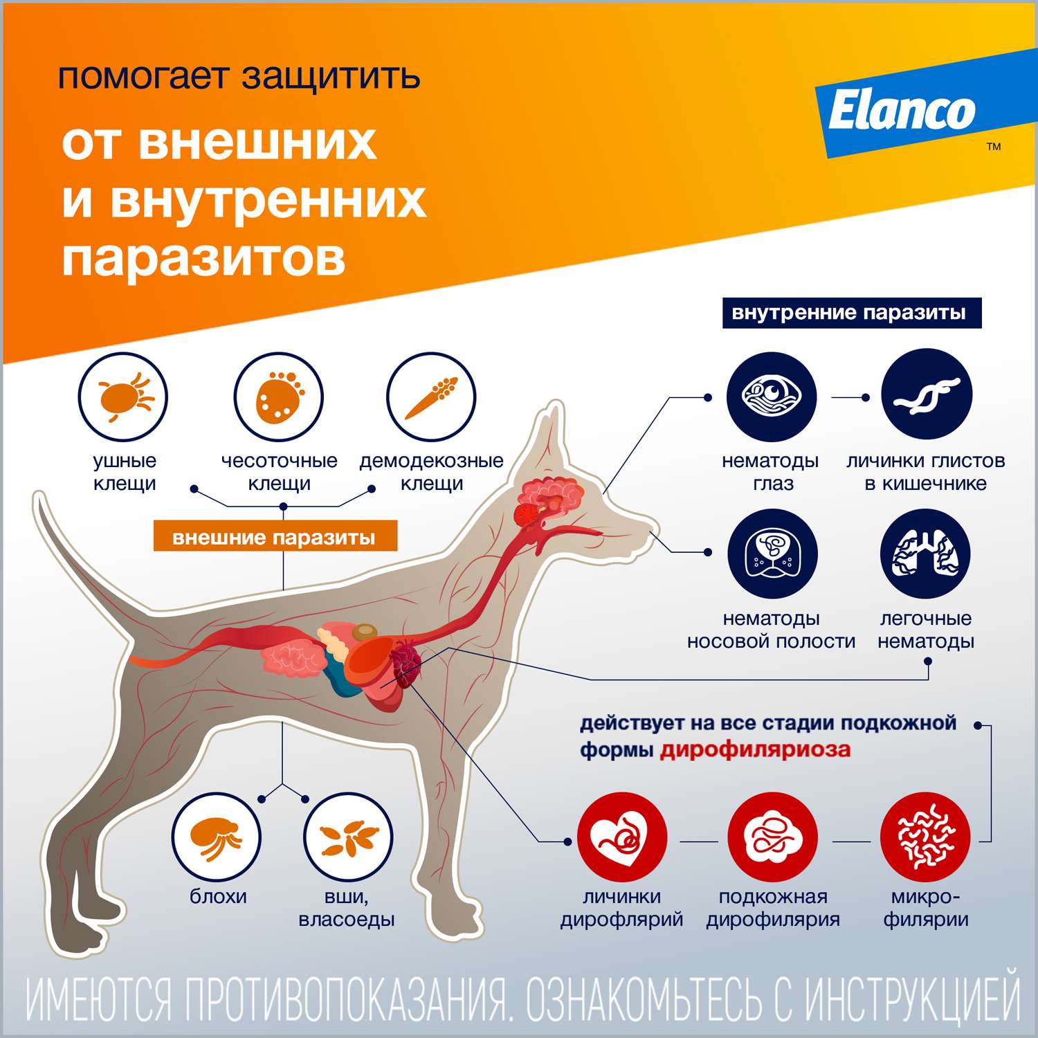 Капли для собак Elanco Адвокат от 4 до 10кг антипаразитарные 1пипетка - фото 3