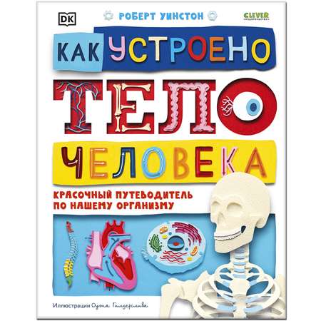 Книга Clever Издательство Как устроено тело человека. Красочный путеводитель по нашему организму