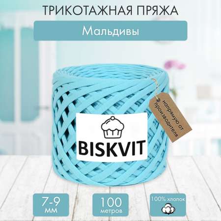 Трикотажная пряжа BISKVIT Мальдивы