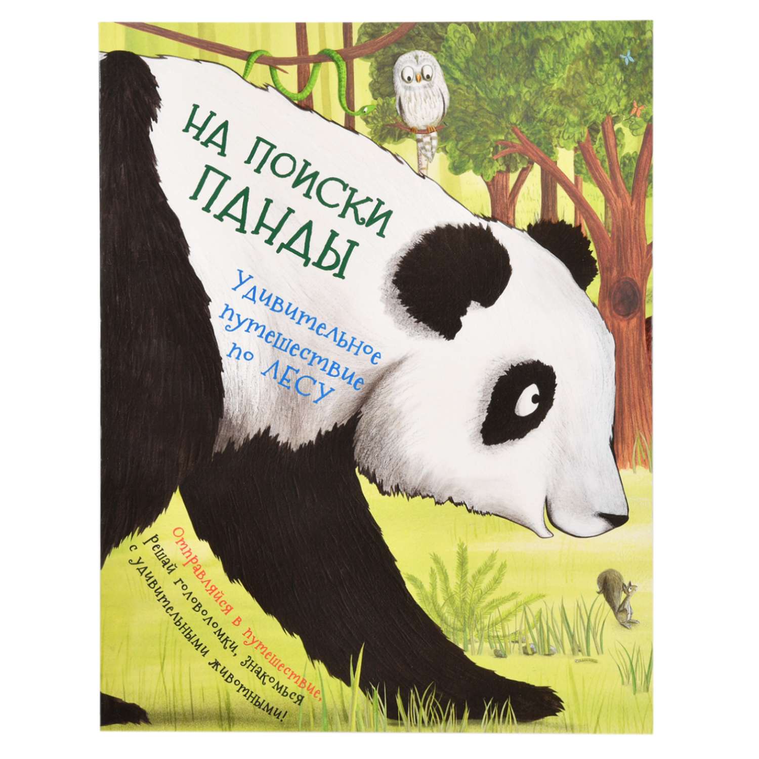 Книга Росмэн На поиски панды. Удивительное путешествие по лесу - фото 1