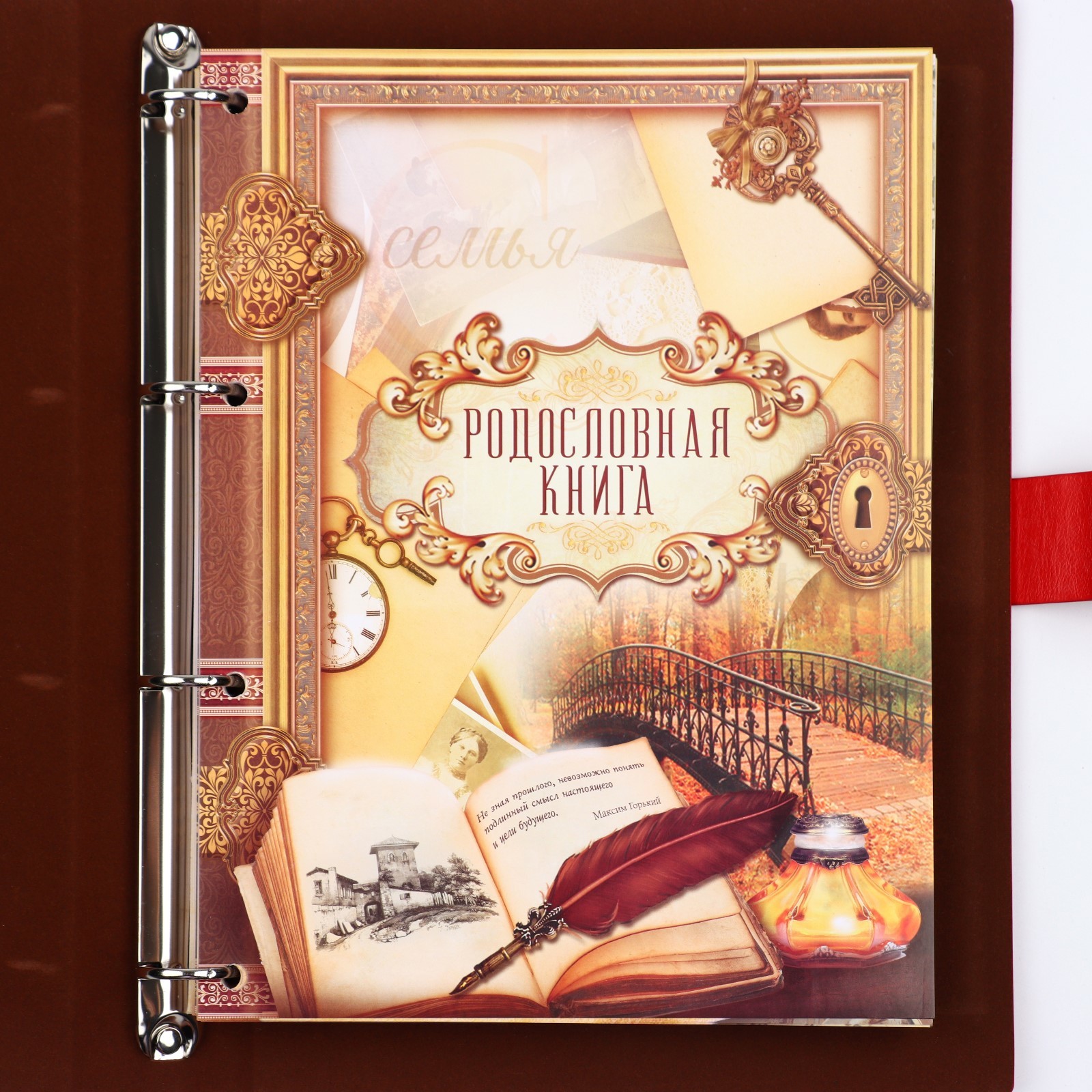 Родословная книга Sima-Land «Книга нашей семьи» 65 листов 32 х 23 см. - фото 2