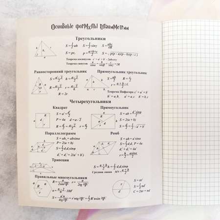 Тетрадь предметная по геометрии Пешта Гарри Поттер - Трансфигурация 48 листов А5 в клетку